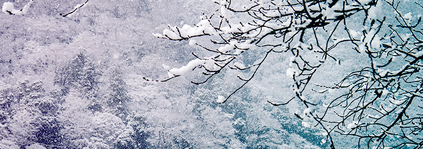 【川崎市最新】正月三が日に亡くなった場合、葬儀はどうなるの？年末年始の対応と注意点